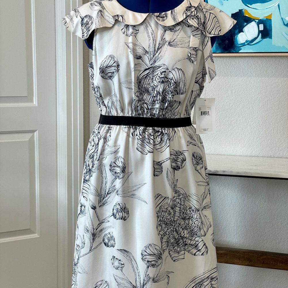 Anthropology dress NWT